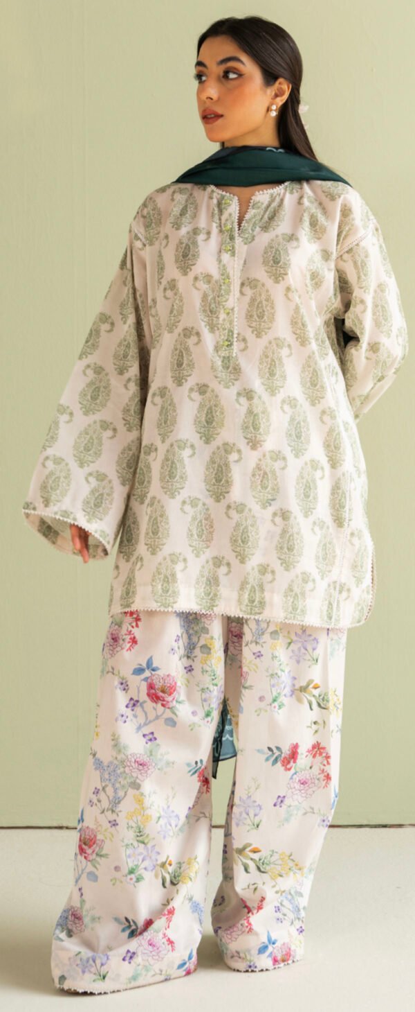 PAISLEY- 6 B